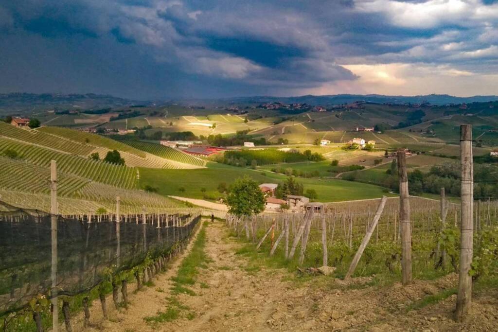 Ex Ostu Impero: vino, tartufo ed ospitalità Apartamento La Morra Exterior foto