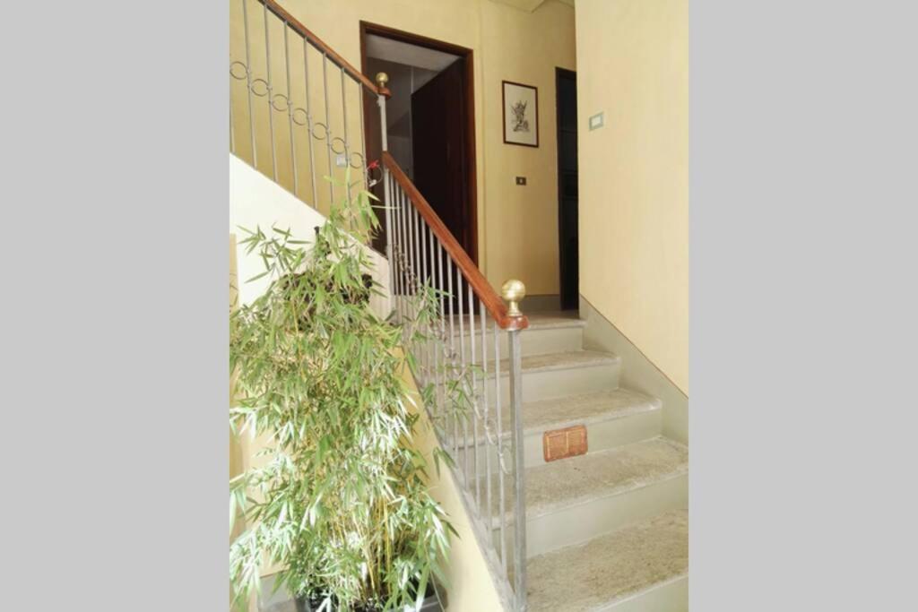 Ex Ostu Impero: vino, tartufo ed ospitalità Apartamento La Morra Exterior foto
